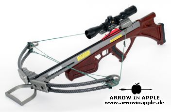 Crossbow Impact Sport