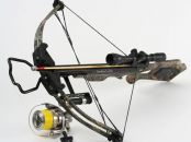 Crossbow Forst / Bergwacht