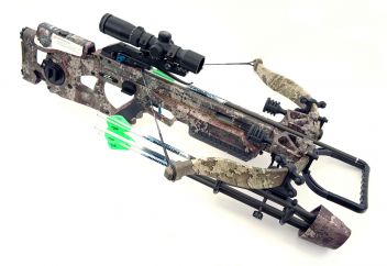 ASSASSIN 400 TD (3729)