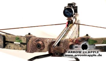 Pro Elite QX 4 (774)