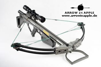 Stinger Carbondesign (1039)