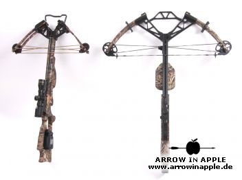 tenpoint vs.. (1655)