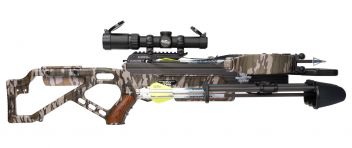 Wolverine Bottomland (40th Anniversary) (4359)