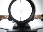 Micro 340 TD Realtree Timber (4090)