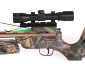Pro Slider (795)