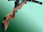 Safari Classic (743)