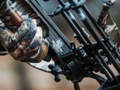 Wolverine Bottomland (40th Anniversary) (4362)