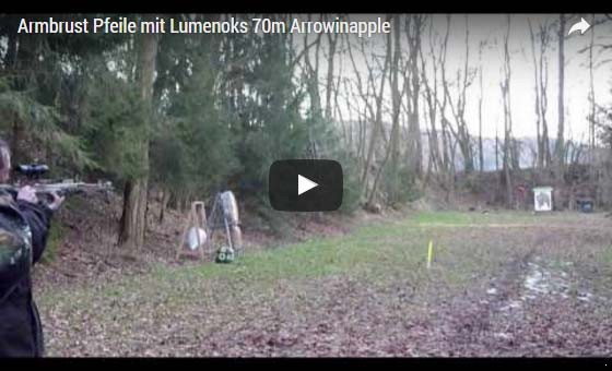  Leuchtendnocken (2831)