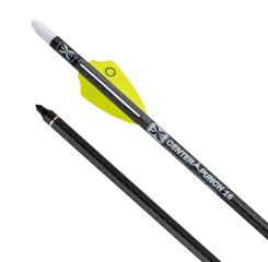16" TenPoint EVO-X CenterPunch,  2.1" Q2i Fusion-II Vanes, .001, Brass Insert, White Polymer Alpha Nock (4038)