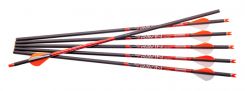 20" Ravin Arrow, 2" Vanes, .003, Brass Insert, Ravin Nock (6 pk) (3962)