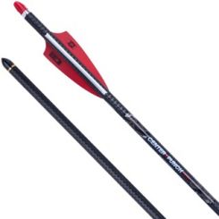 20" TenPoint EVO-X CenterPunch,  3" X Vanes L, .001, Brass Insert, Alpha Nock HPX red (4651)