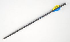 20" ArcherOpterX Evolution, 2" Blazer Vanes, .001, Brass Insert, Half Moon (3783)