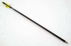 20" ArcherOpterX Evolution, 2" Blazer Vanes, .001, Brass Insert, U Nock (3762)