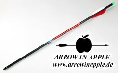 20" Black Eagle Executioner, 3" Vanes, Brass Insert, .001, Omni-Nock System (2877)