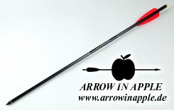 20" TenPoint Pro Elite, 3.8" Vanes, Brass Insert, Omni-Nock (2876)