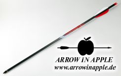 22" Black Eagle Executioner, 2" Vanes, Brass Insert, .001, Q Nock (2878)