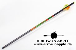 20" Black Eagle Zombie Slayer, 2" Vanes, Brass Insert, Half Moon (2923)