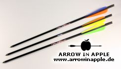20 Inch Firebolt Carbon (1382)