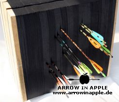 Crossbow target (804)