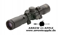 TenPoint Rangemaster Pro 2-6 x 32 (2560)