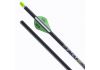 20" TenPoint ACU-X 20 Premium Carbon, 2" Blazer Vanes, .001, Brass Insert, ACU-X Snap-On Nock green (5344)