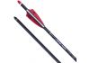 20" TenPoint EVO-X CenterPunch,  3" X Vanes L, .001, Brass Insert, Alpha Nock HPX red (4651)