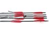 22" Eastman Aluminum Crossbow Bolt 2219, 5" Vanes, Alu Insert, Halfmoon Nock (1243)