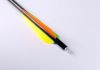 20 Inch Firebolt Carbon (1381)