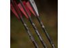 20" TenPoint EVO-X CenterPunch,  3" X Vanes L, .001, Brass Insert, Alpha Nock HPX red (4652)